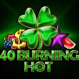 Slots logo of 40 Burning Hot from Amusnet Interactive at Hollywin Casino