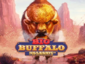 game logo by Skywind Group on hollywinn.com