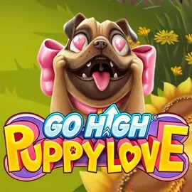 Play the Go High Puppy Love slot by RubyPlay on Hollywin Casino