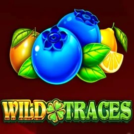 Wild Traces logo – Slots by Amusnet Interactive at Hollywin Casino