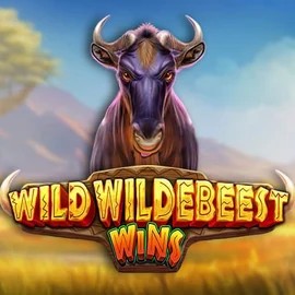 Wild Wildebeest Wins slot logo by Pragmatic Play at Hollywin Casino